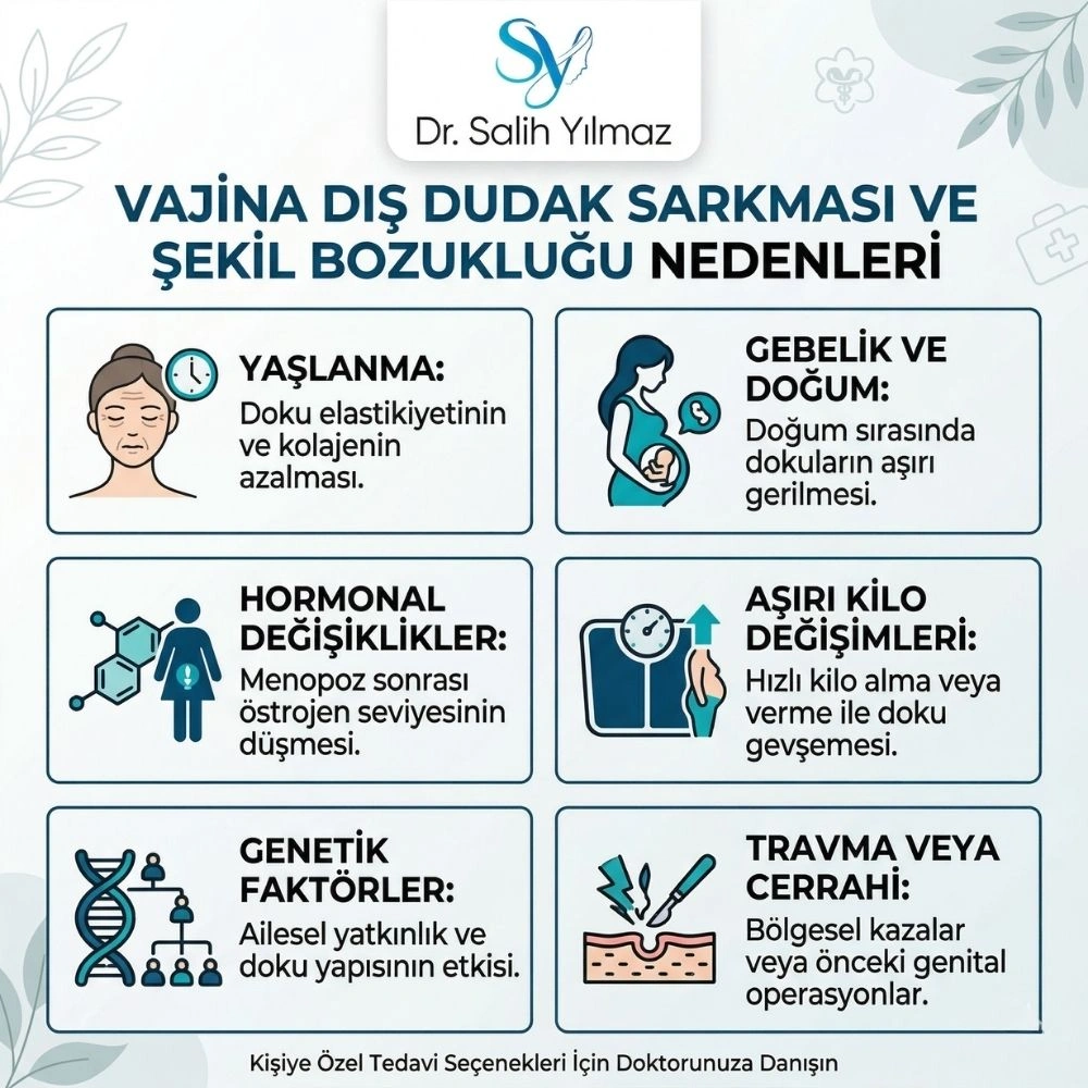 iç dudak sarkması