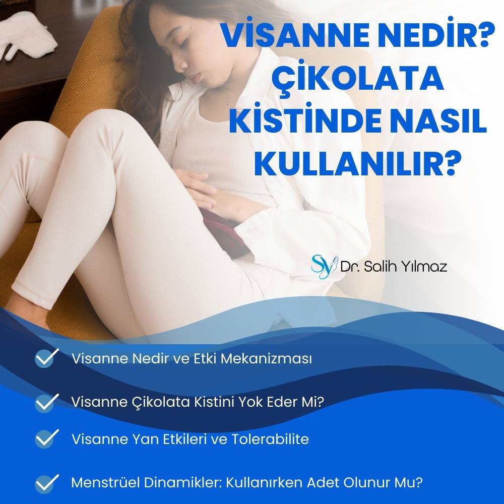 Visanne Nedir? Çikolata Kistinde Nasıl Kullanılır?