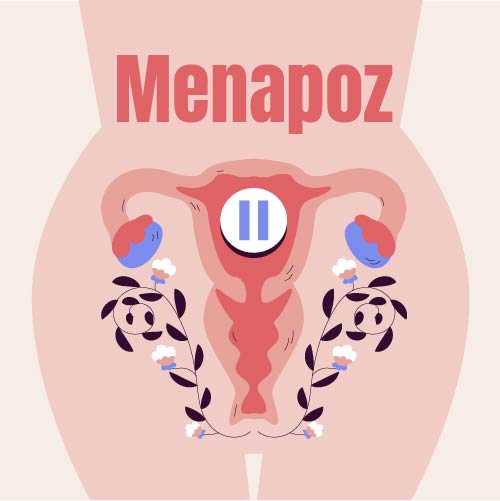 Menopoz Nedir