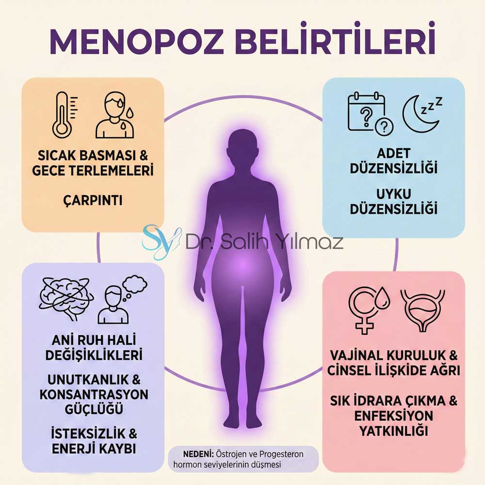 menapoz tedavisi en iyi doktor istanul atasehir