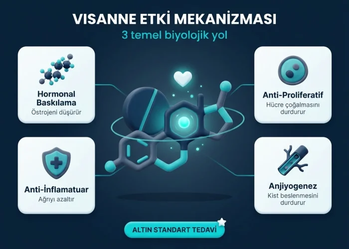 Visanne kullanırken adet olunur mu